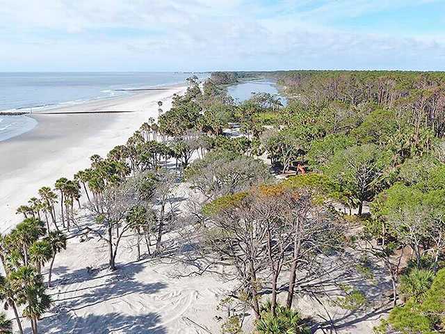 Hunting Island is 'wealthy' in animal, plant life Hunting Island is 'wealthy' in animal, plant life